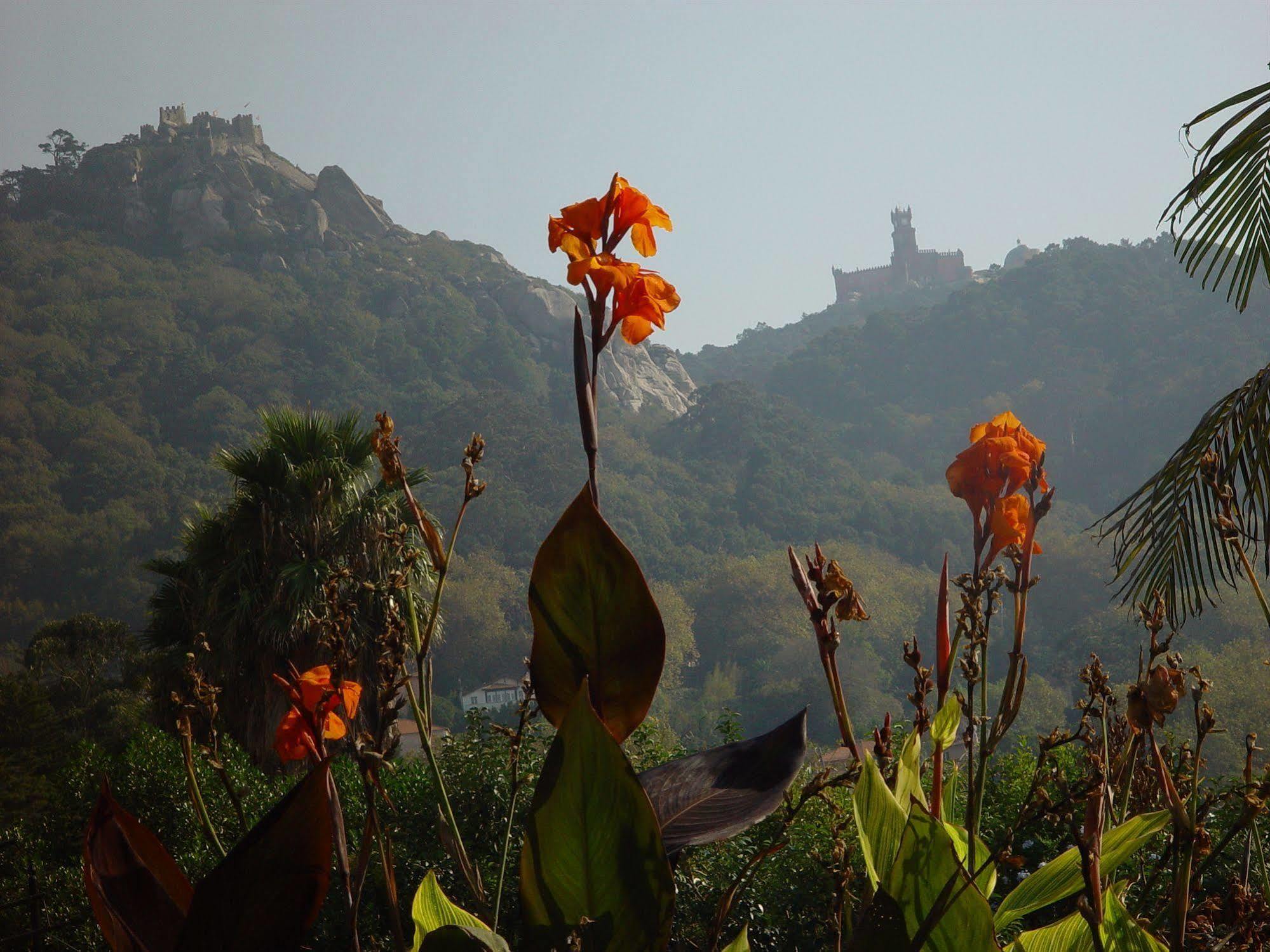 Casa Do Valle Sintra Kültér fotó